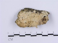 登錄號:F0020337藏品圖，第1張
