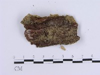 登錄號:F0020337藏品圖，第3張