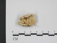 登錄號:F0020339藏品圖，第1張