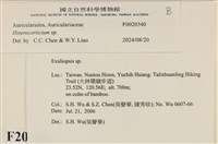 登錄號:F0020340藏品圖，第3張