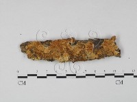 登錄號:F0020344藏品圖，第1張