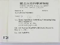 銳孔菌屬藏品圖，第2張