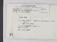 登錄號:F0020346藏品圖，第2張