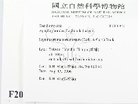 登錄號:F0020347藏品圖，第2張