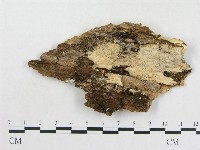 登錄號:F0020347藏品圖，第1張