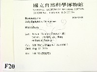 登錄號:F0020348藏品圖，第2張