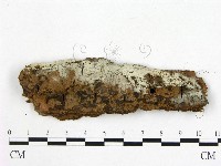 登錄號:F0020348藏品圖，第1張