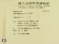 絲齒菌屬藏品圖，第2張