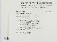 刺皮菌屬藏品圖，第2張