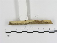 登錄號:F0020351藏品圖，第1張