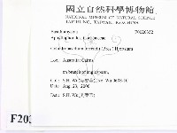 登錄號:F0020352藏品圖，第2張
