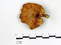 登錄號:F0020355藏品圖，第1張