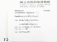 登錄號:F0020356藏品圖，第2張