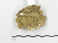 登錄號:F0020356藏品圖，第3張