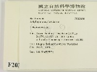 傑克菌屬藏品圖，第2張