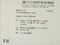 登錄號:F0020359藏品圖，第2張