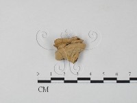 登錄號:F0020359藏品圖，第1張