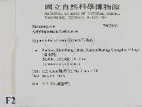 登錄號:F0020361藏品圖，第2張