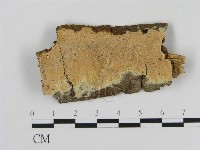 登錄號:F0020361藏品圖，第1張