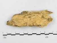 登錄號:F0020362藏品圖，第3張