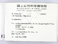 多年臥孔菌屬藏品圖，第2張