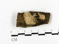登錄號:F0020365藏品圖，第1張