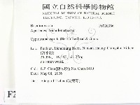 登錄號:F0020366藏品圖，第2張