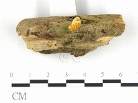 登錄號:F0020366藏品圖，第1張