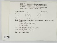 登錄號:F0020367藏品圖，第2張