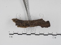 登錄號:F0020367藏品圖，第3張