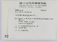 登錄號:F0020369藏品圖，第2張