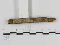 登錄號:F0020369藏品圖，第3張