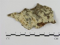 登錄號:F0020374藏品圖，第1張