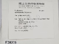 登錄號:F0020375藏品圖，第2張
