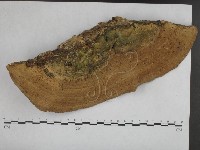 登錄號:F0020375藏品圖，第3張