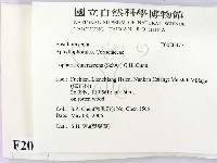 登錄號:F0020377藏品圖，第2張
