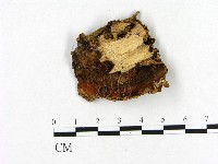 登錄號:F0020377藏品圖，第3張