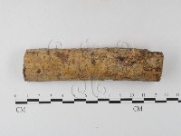 登錄號:F0020379藏品圖，第1張
