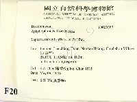 登錄號:F0020380藏品圖，第2張