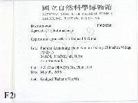 登錄號:F0020381藏品圖，第2張