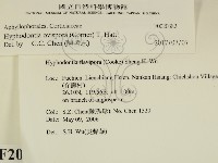 登錄號:F0020382藏品圖，第2張
