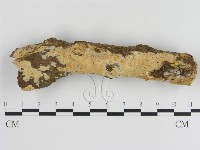 登錄號:F0020382藏品圖，第1張
