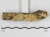 登錄號:F0020382藏品圖，第3張