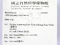 館號:F0020384藏品圖，第2張