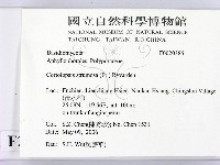 登錄號:F0020385藏品圖，第2張