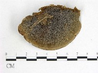 登錄號:F0020385藏品圖，第3張
