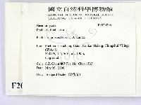 登錄號:F0020386藏品圖，第2張