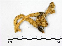 登錄號:F0020386藏品圖，第1張