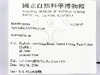 登錄號:F0020387藏品圖，第2張