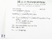 登錄號:F0020389藏品圖，第2張